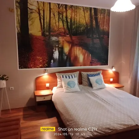 Gorski Kat Kiten (Burgas)