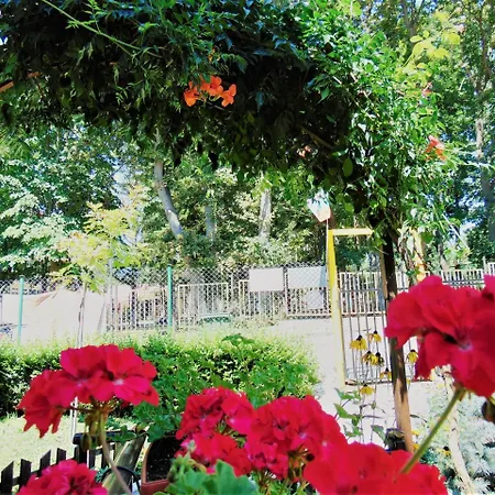 Gorski Kat Kiten (Burgas)