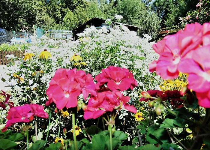 Gorski Kat 3* كيتن